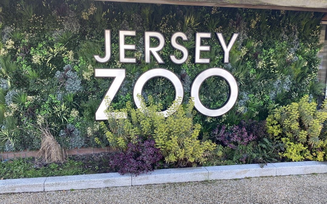 TB+A take a trip to Jersey Zoo!